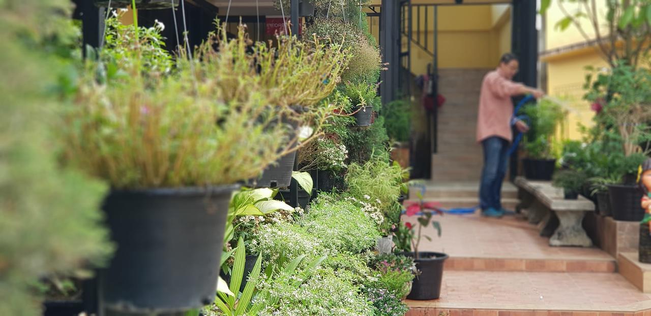 Baan Sabai Maesai Hotel Mae Sai Luaran gambar